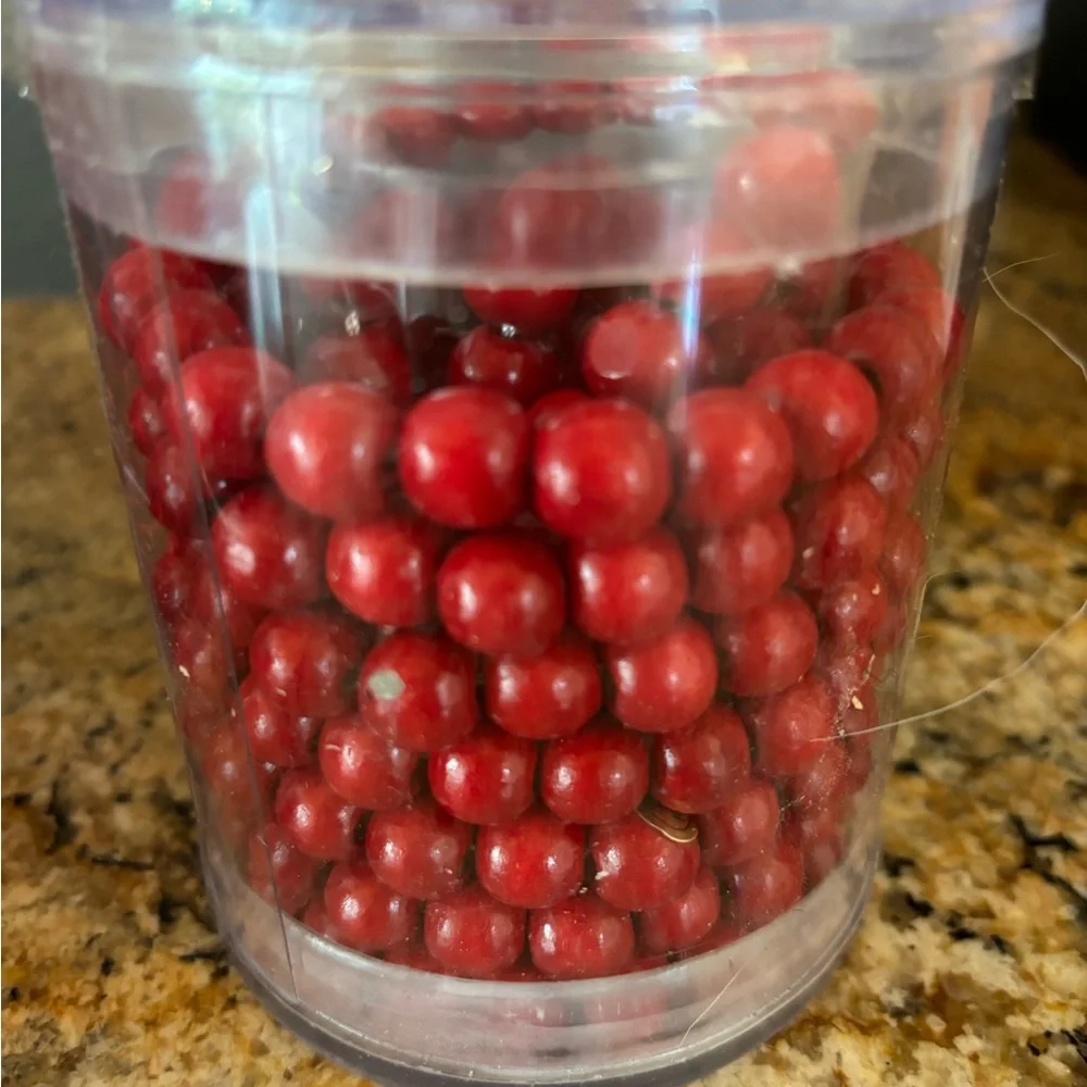 Christmas red garland NWT 3 containers 38 ft 1 container 9 ft